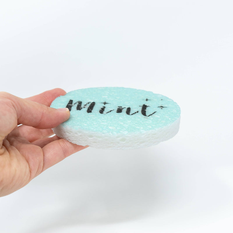 Mint Eco-Sponge